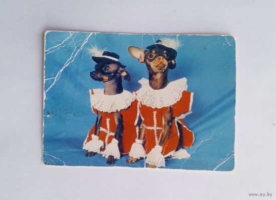 Календарик карманный 1997 год. Альба Росс.