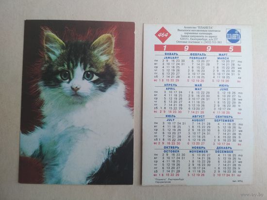 Карманный календарик.Кошки.1995 год