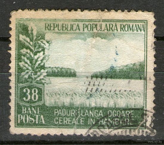 Румыния. Михель- 1440. Гашеная.