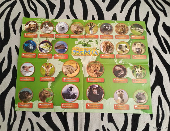 Плакат Твои веселые зверята