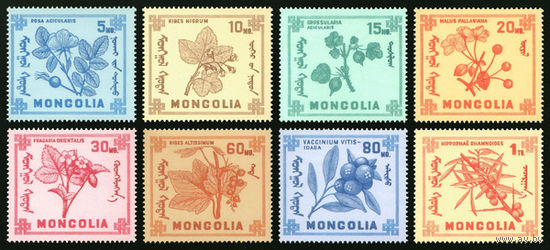 Монголия. 1968. Флора. Ягодные растения
