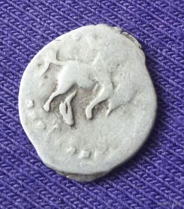 Чешуя "Денга Иван IV Грозный ". 1547-1584 гг.