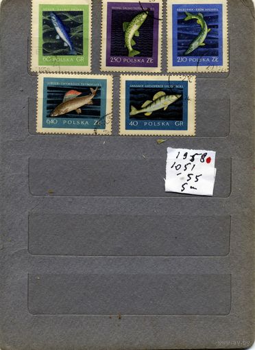 ПОЛЬША, 1958, серия  5м,  РЫБЫ,  гашен