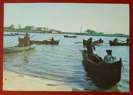 Румыния. Чистая. 1924.