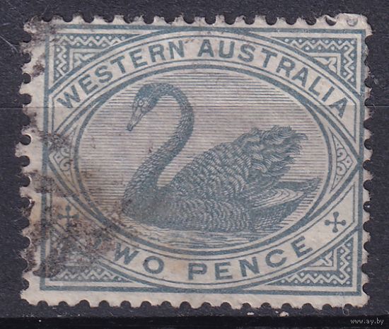 148а.Aust. Великобритания. Австралийские штаты. Западная Австралия. Чёрный лебедь. Стандарт. 1890/93 гг. 2p. Mi.#35.
