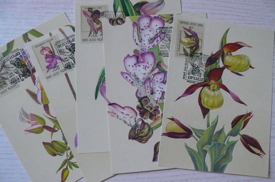 1990, 1991, Картмаксимум СССР, полная серия - 5 шт.; Охотина Н., Орхидеи (флора, цветы).