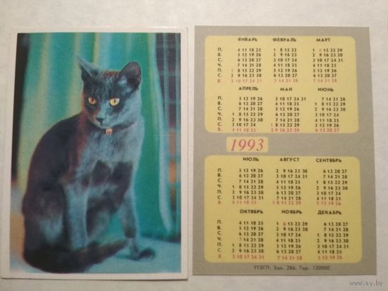 Карманный календарик. Котик. 1993 год
