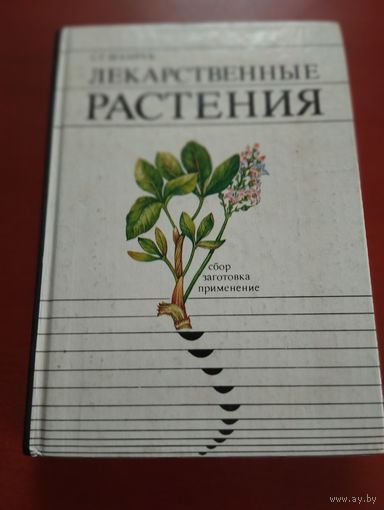 Лекарственные растения.  Сбор, заготовка, применение