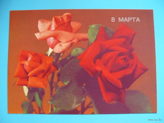 Круцко Б., 8 Марта, 1989, чистая.