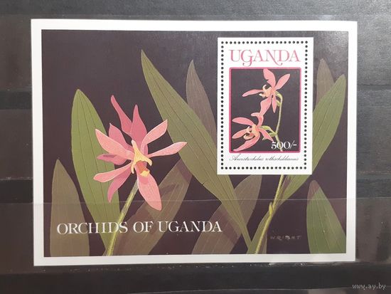 Уганда. Флора. Цветы. Орхидеи. Блок (316)