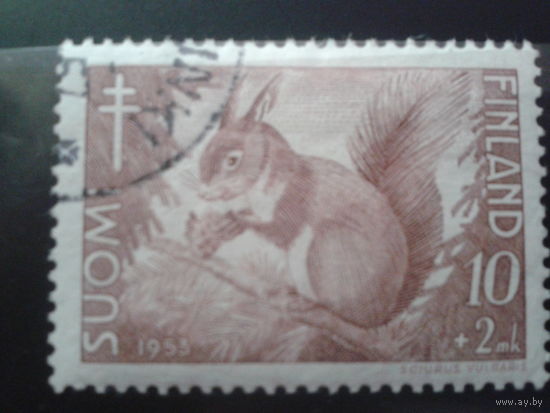 Финляндия 1953 Белка