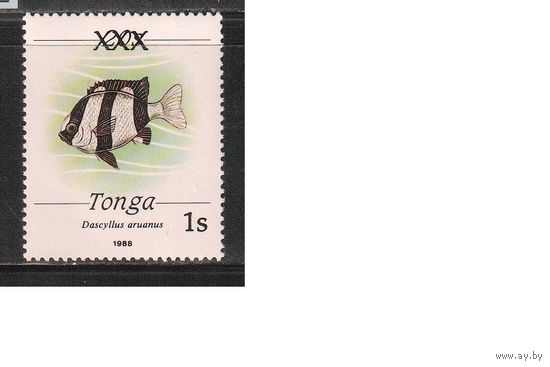 Тонга -1992(Мих.1202) , ** , Морская фауна,Рыбы, Надп. (одиночка),