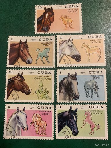 Куба 1972. Породы лошадей. Полная серия