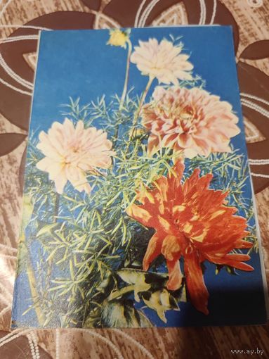 Открытка,телеграмма,подписана