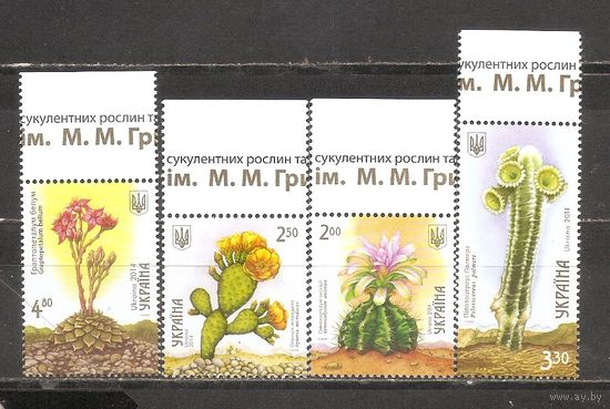 ФФ1 Украина 2014 Кактусы