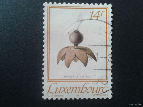 Люксембург 1991 гриб