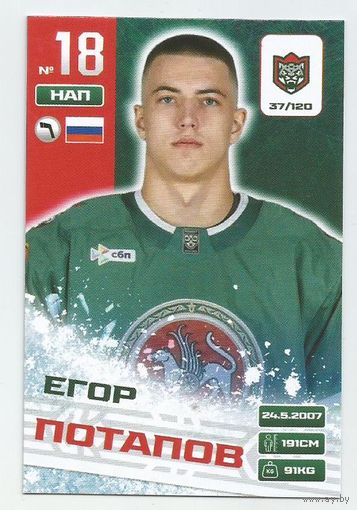 Егор Потапов / Коллекция "Ак Барс Казань 2025-206"