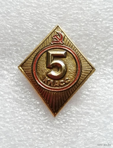 5 класс. Школьный значок #0649-UP17