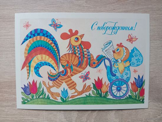 Грудинина1986 чистая