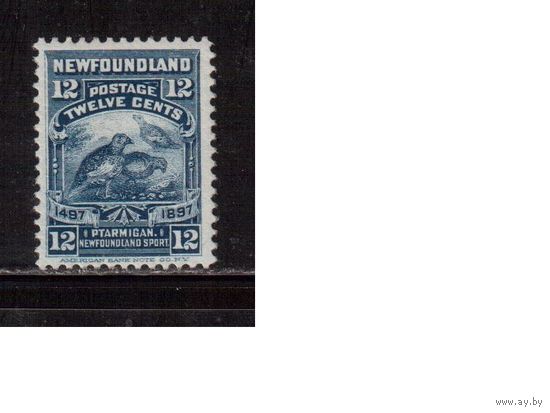 Ньюфаундленд-1897,(Мих.52)  * (сл. от накл.),  Фауна, Птицы,  Английские колонии