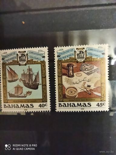 Багамы, две марки 1989, чистые