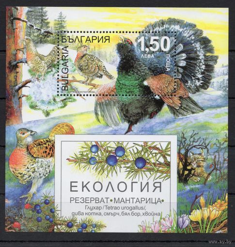 Болгария 2013. Заповедник птицы глухарь блок (5099)
