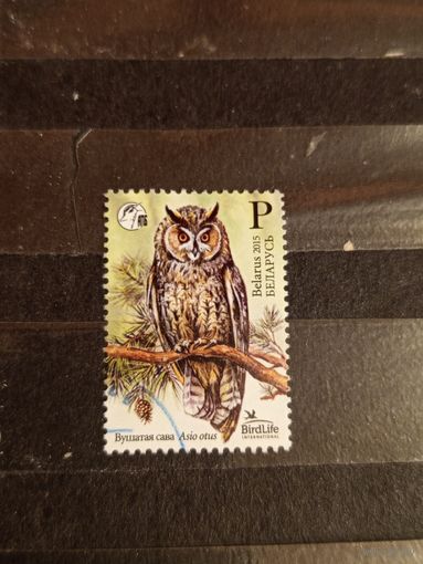 2015 Беларусь фауна птицы (5-8)