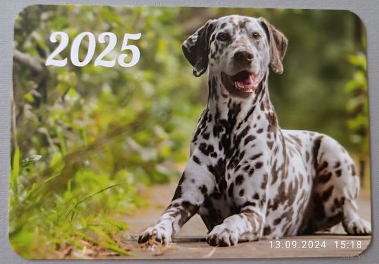 Собака. Календарик, 2025, глянец