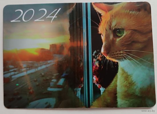 Котейка. Календарик, глянец, 2024