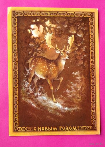 С новым годом! Чистая. 1979 года. Исаков. #203.