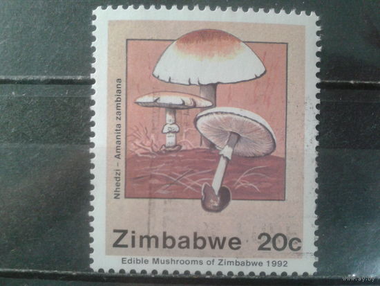 Зимбабве, 1992 Грибы