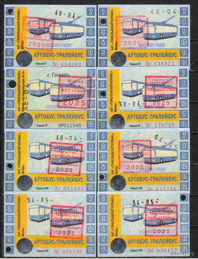 Месячные билеты Гомель 2025 (3 скана)