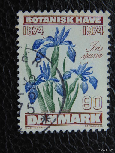 Дания 1974 г. Флора.
