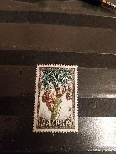 1950 французская колония Алжир флора (1-4)