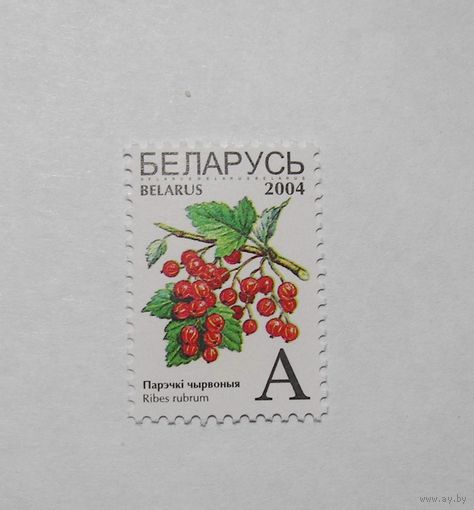 Парэчка красная. "А". 1м. т2004г.