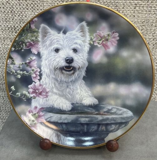 Фарфоровая настенная тарелка SammlerFactum Где воробей?. Германия. 20.5 см