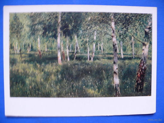 Левитан И. И., Березовая роща, 1966.