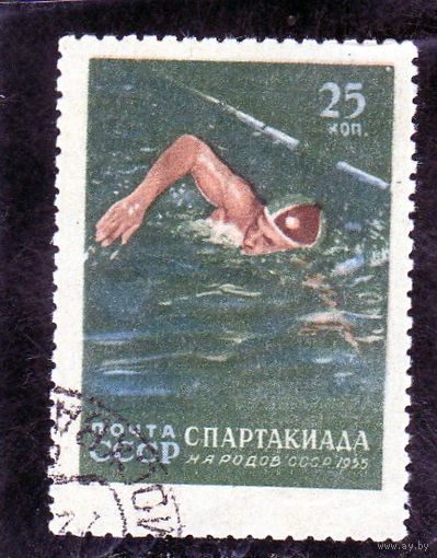 СССР.Спорт.Плавание.Спартакиада народов СССР.1955.