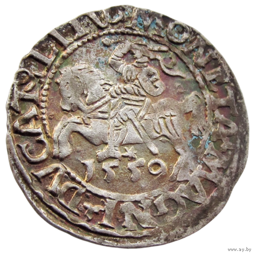 Литва/Litva, полугрош 1559 (м.д. Вильня)/ 1/2 Grossus (Mint: Vilna), LITV, сост. AUnc, штемпельная, Жигимонт Август/ Sigismund II Augustus