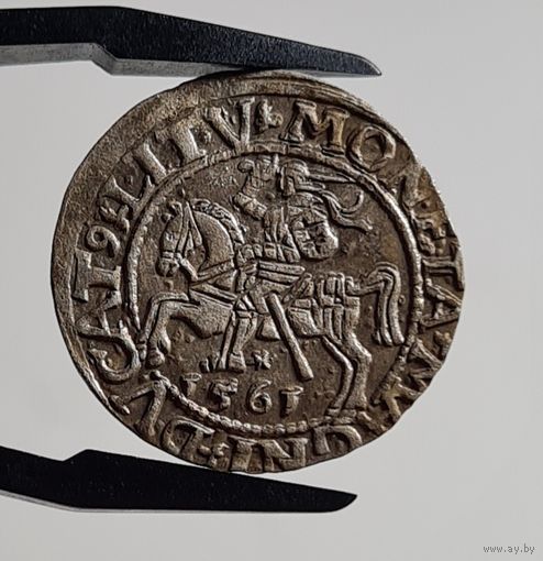 Полугрош 1/2 гроша 1561 года, Сигизмунд II, м.д. Вильно, Литва, СОХРАН!