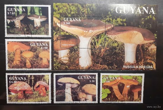 Гайана. 1991 год. Флора. Грибы. Блок и 5 марок (988)
