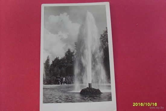 Петродворец Большой Фонтан  1954 год