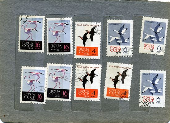 СССР, 1962,  ПТИЦЫ,  сборка,  10м    по 20 коп шт гашеная