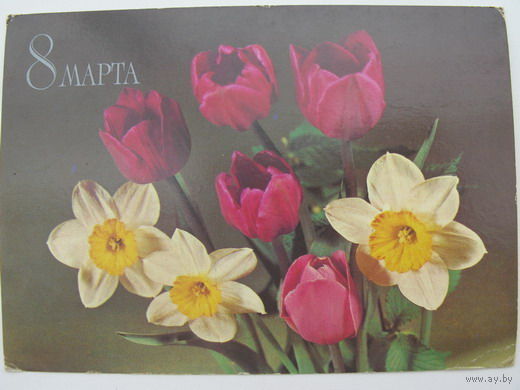 8 Марта - 1982г.