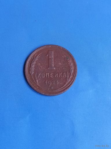1 копейка 1924 год  (174)
