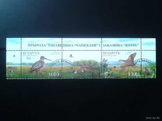 2007 Фауна, верхняя сцепка