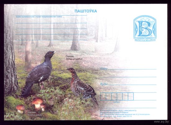 2010 год Глухарь и боровик