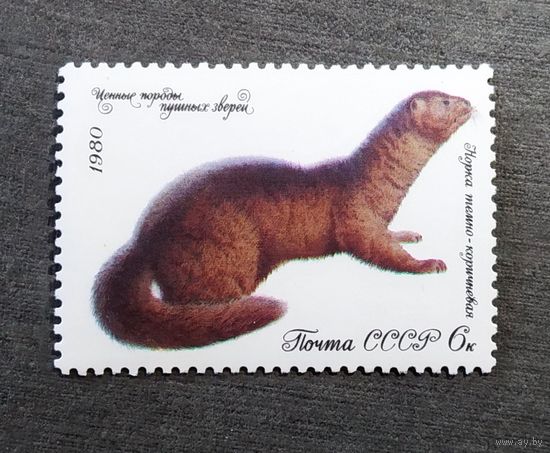 Марка СССР 1980 год Пушные звери