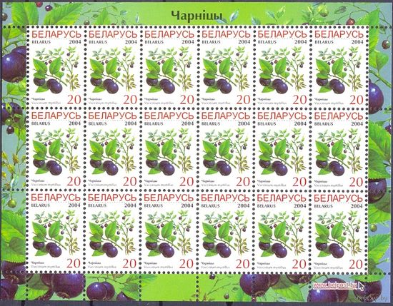 Беларусь 2004 седьмой стандарт ягоды флора черника