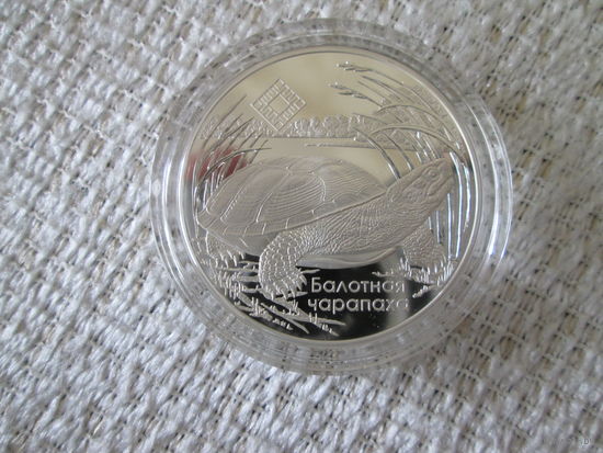 20  рублей  ,  Беларусь ,2010 год . Болотная  черепаха ., с  сертификатом ,   люкс ,   с 1  рубля